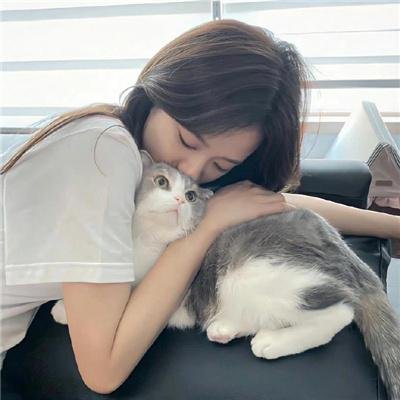 狐狸猎手队